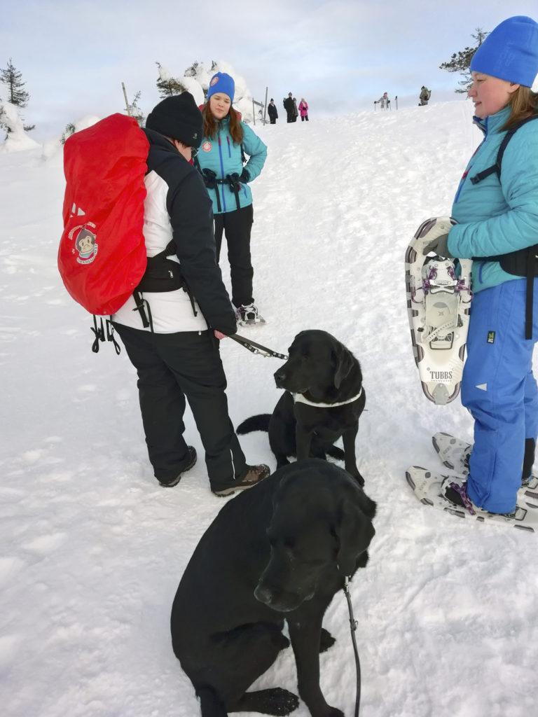 Yhä ylöspäin menossa. Tässä tuumaillaan miten matka jatkuu koska Heidillä lumikengät olivat vain tiellä opaskoira Oton kanssa kulkiessa. Mukana tilannetta pohtimassa Heidin lisäksi Miina, opas-Heidi sekä koirat ansaitulla lepotauolla. 