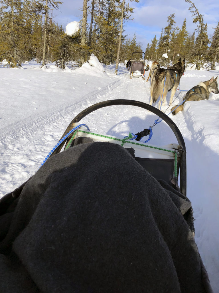 Huskyjen lepotauko valjakkoajelun lomassa aurinkoisessa talvisäässä. 