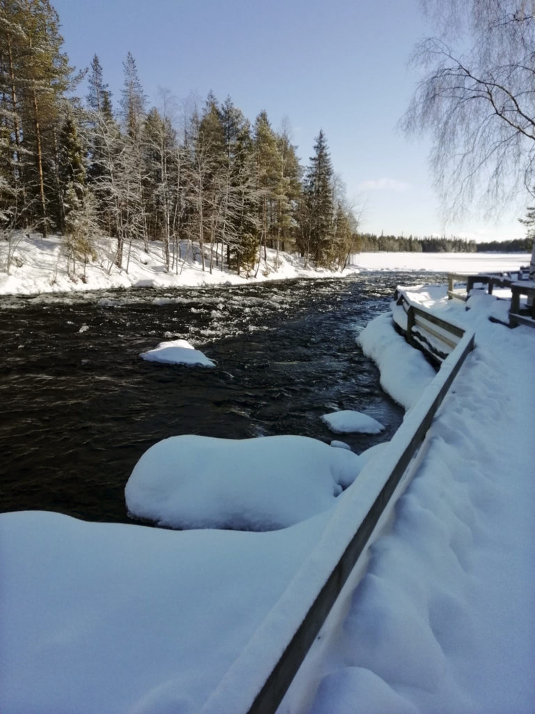 Kirkas pakkaspäivä Käylänkosken lumisella rannalla. Vuolaana virtaavaa koskea kelpaa ihastella rannan tuntumassa kulkevalta kävelyreitiltä. 