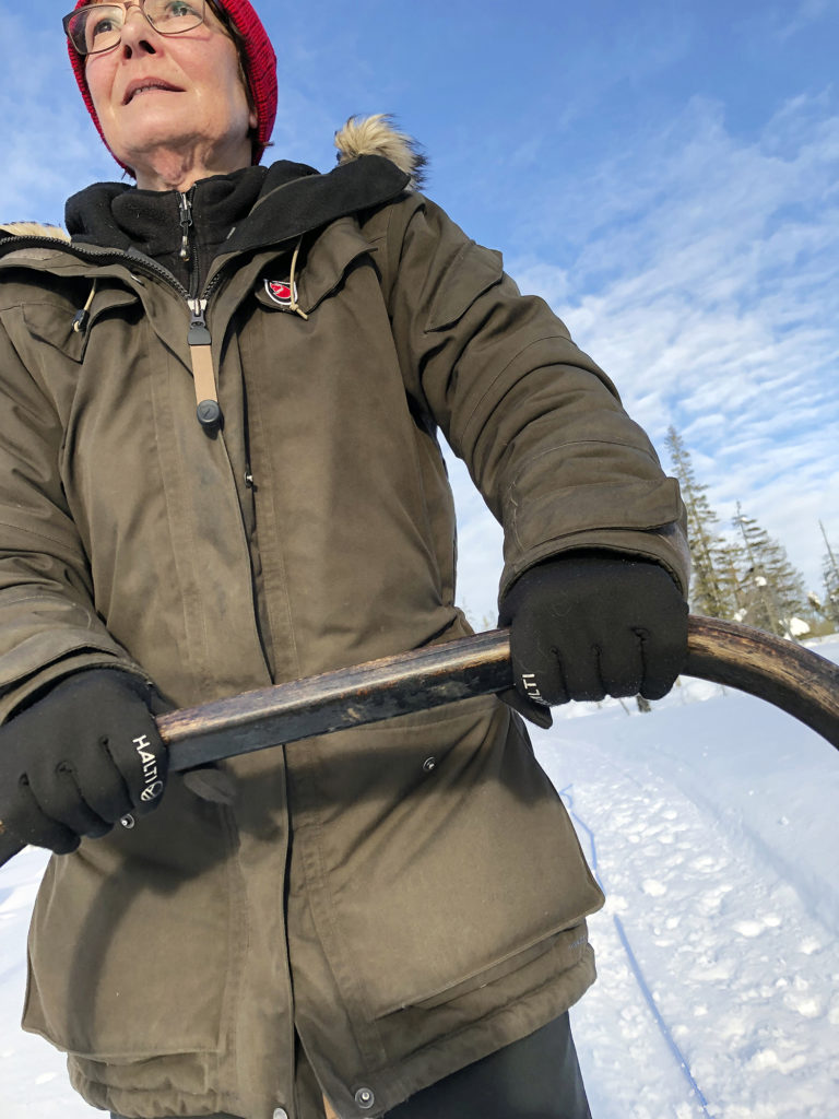 Sirpa tähystää reen ohjastajan paikalta koiravaljakon menoa aurinkoisessa talvisäässä. 