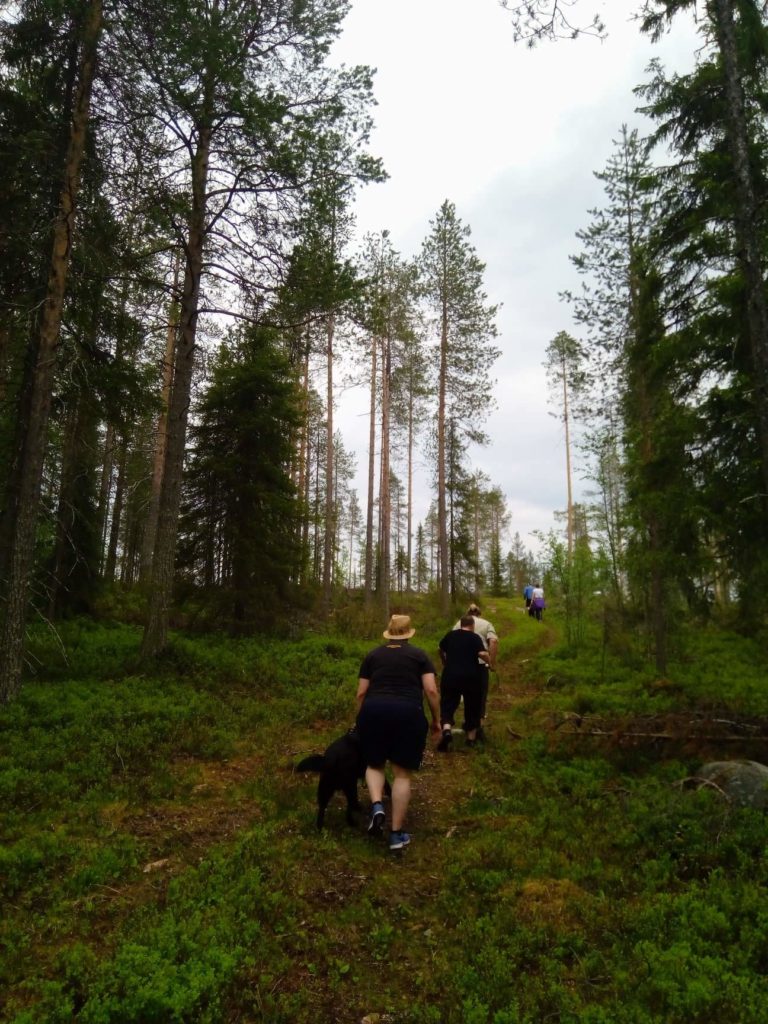 Polku kohti Kotivaaran huippua nousee varvikon lomassa, mäntyjen katveessa. Retkeilijät nousemassa ylämäkeen painostavassa säässä. 