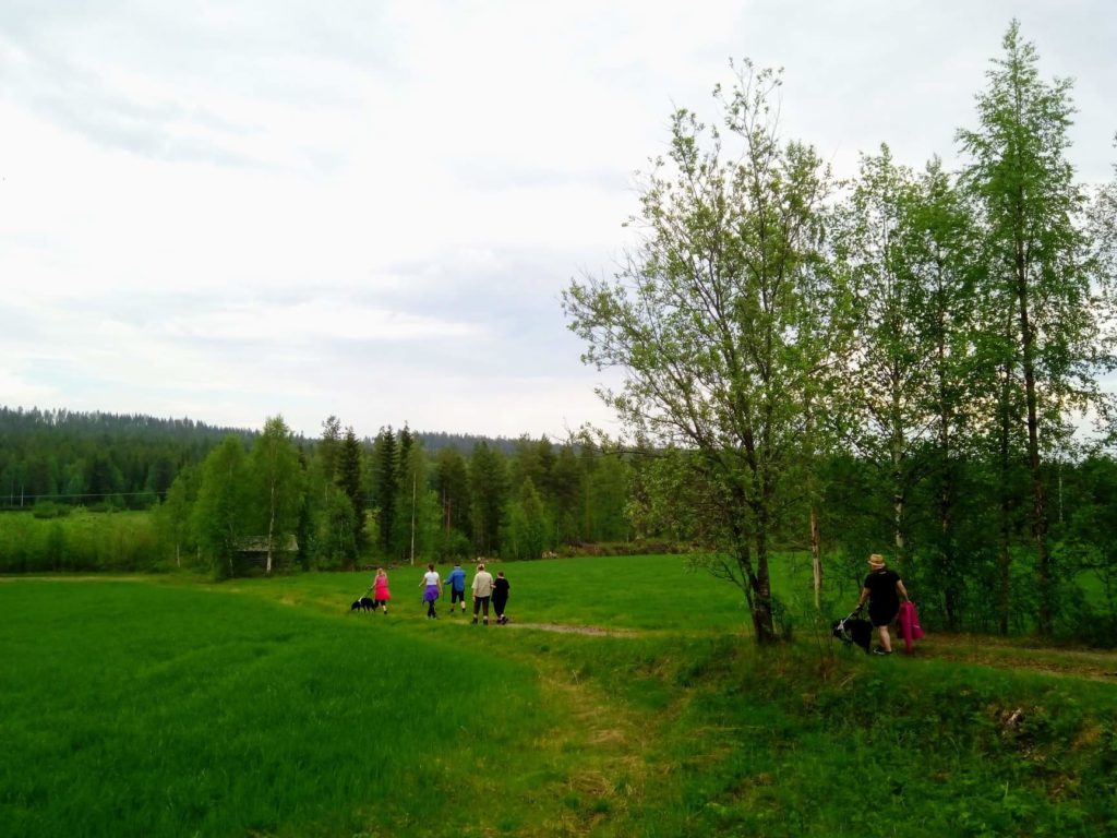 "Matka Kotivaaran huipulle alkaa Seikkailuapinoiden majatalon pihasta halki peltojen ja niittyjen. " Retkeläiset kulkevat vehmaan niityn poikki kulkevaa polkua kohti uusia seikkailuja. 