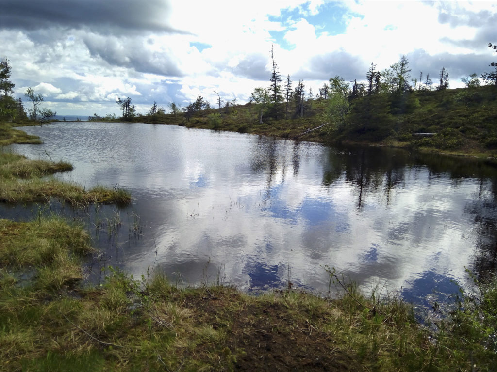 Lähes tyynestä Ikkunalammen pinnasta heijastuvat raskaana roikkuvat pumpulipilvet ja niiden välistä pilkottaa sininen taivas. Rauhaa henkivää erämäälampea reunustavat matalat heinikkoiset penkereet ja matalakasvuiset havupuut. Lammen takaa siintää sinisävyisenä horisontissa kulkevien tuntureiden nauha. 