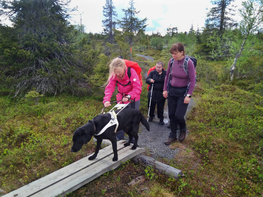 Pitkokset ovat kahden lankun leveyiset ja niille nouseminen vaatii keskittymistä. Pekko odottelee että Marianne on valmiina matkaan. 