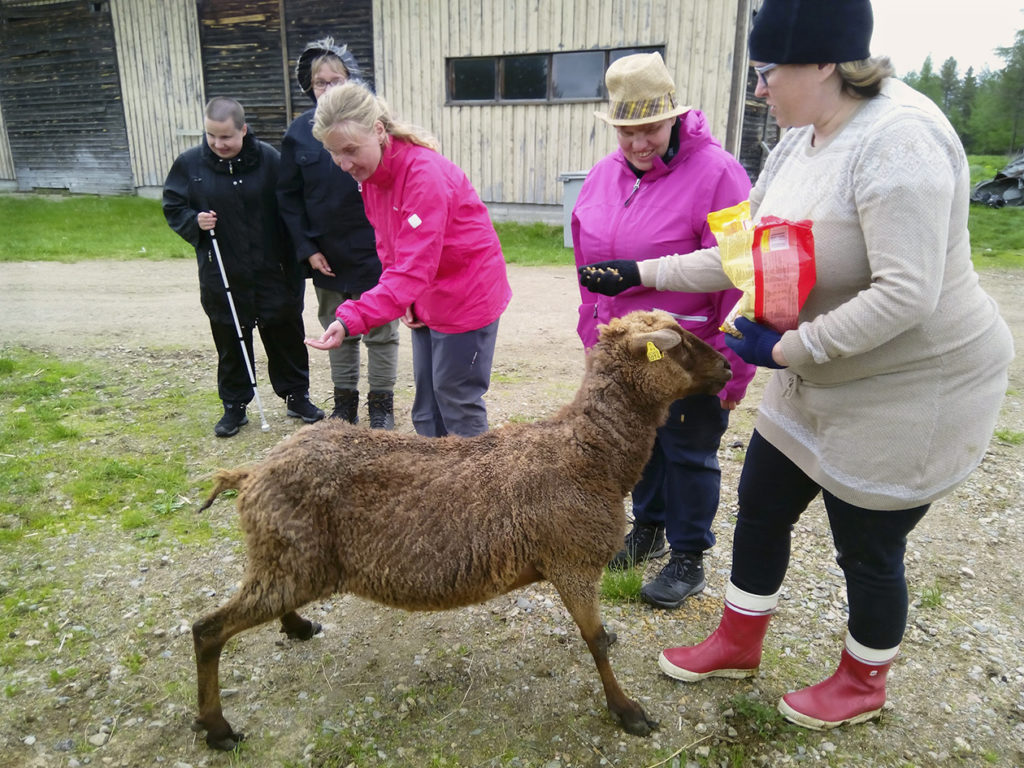 Lammastilan Anne ojentamassa makaroonia Heidille. Ruskea keritty lammas Heidin ja Annen edessä odottaa herkkuja malttamattomana. Mariannella on jo makaroonia kädessään. Outi ja Taija odottelevat vuoroaan. 