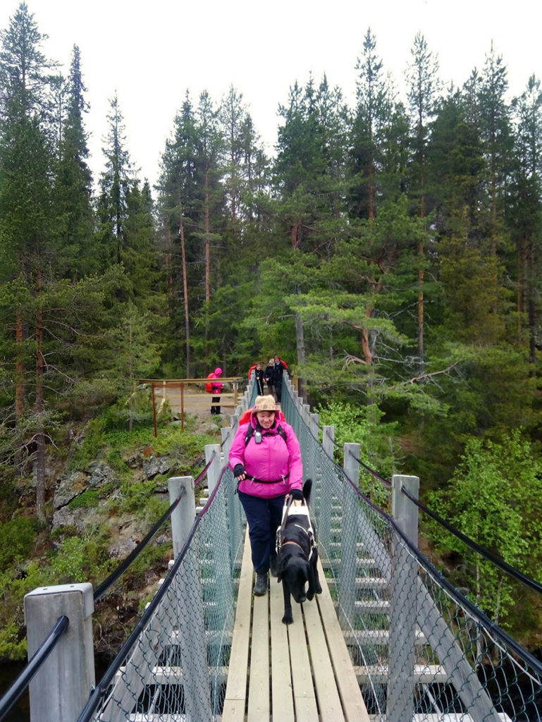 Heidi ja Otto ylittämässä riippusiltaa Niskakosken yllä. Kosken rannat ovat kivikkoiset, jyrkkäreunaiset ja sankan metsän ympäröimät.