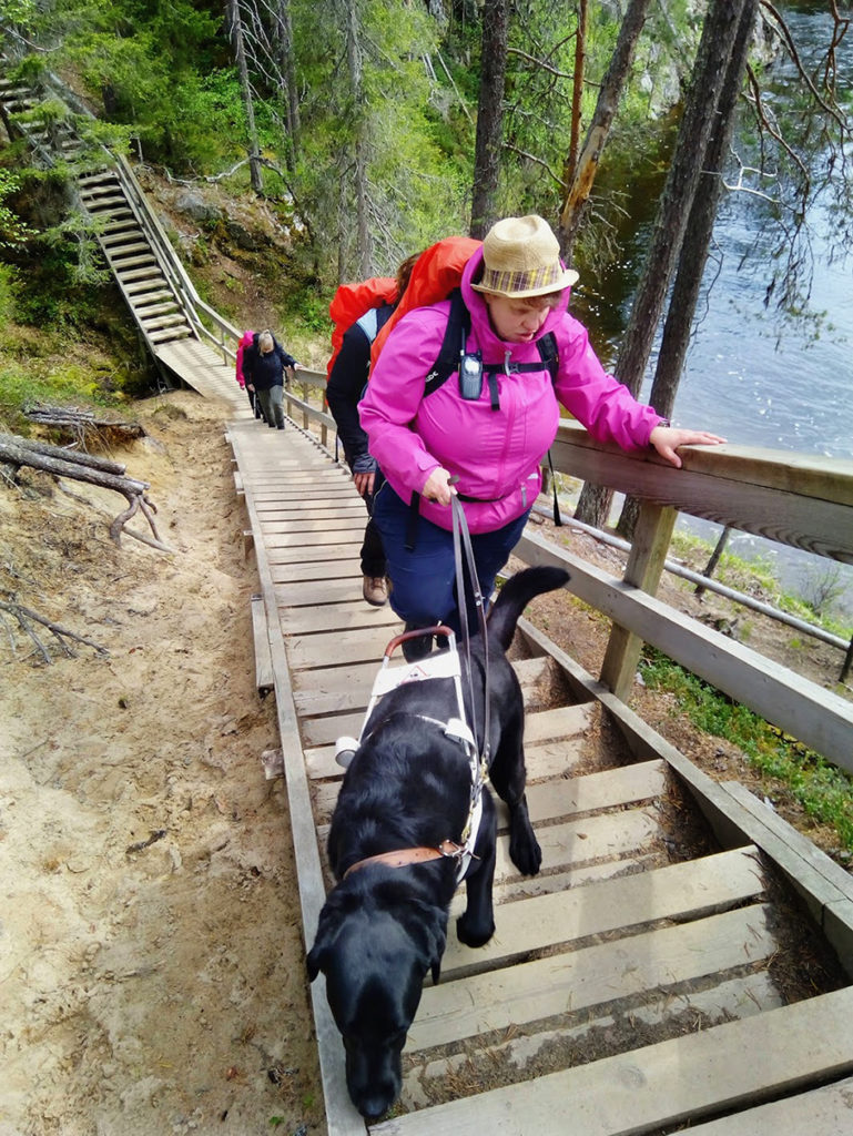 Jyrkkä nousu puisia rappusia ylöspäin. Edellä tulee Otto Heidi perässään.  Sirpa peesaa Heidin takana. Portaiden alapäässä tulevat  Taija ja Outi. Portaiden vieressä näkyy kaukana alhaalla olevaa vesistöä jyrkän rinteen alla. Onneksi välissä on tukeva kaide.