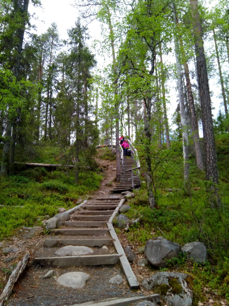 Ja sitten laskeudutaan portaat. Alkupäässä portaat ovat jyrkät ja alempana huonokuntoiset laudat markkeeraavat portaiden paikkoja. Portaiden yläpäässä laskeutumassa Heidi, Sirpa ja Tuulikki. Portaiden vierellä kasvaa korkeita lehti- ja havupuita. 