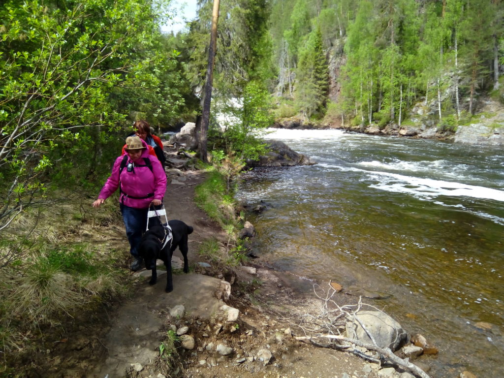 Heidi, Otto ja Sirpa kulkevat kapeaa polkua joka kulkee aivan Jyrävänkosken viertä. Polku ei ole paljoa korkeammalla kuin koski joka   uoman keskikohdalla virtaa vuolaana kuohuen. Joen reunoilla kohoaa korkea kallio jonka rinteillä kasvaa tiheää sekametsää. 