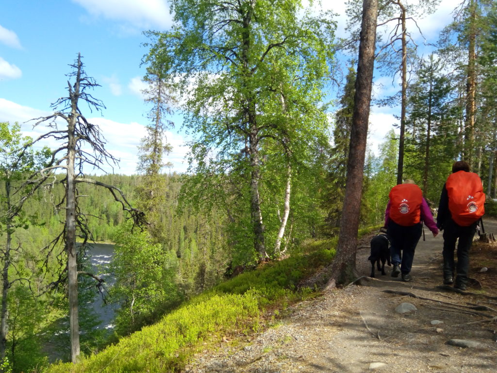 Heidi, Otto ja Sirpa kosken viereisellä korkealla harjanteella matkalla kohti Harrisuvantoa. 