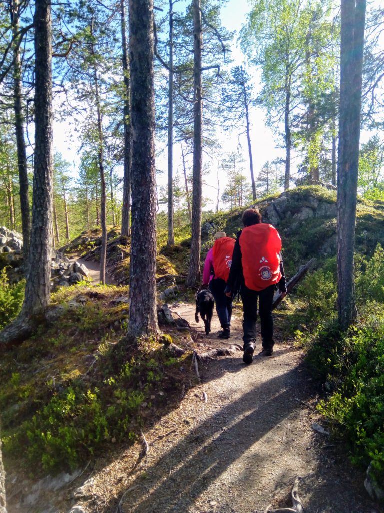 Otto, Heidi ja Sirpa kulkevat pienten kalliokumpareiden ja mäntyjen välissä kiemurtelevaa polkua. 