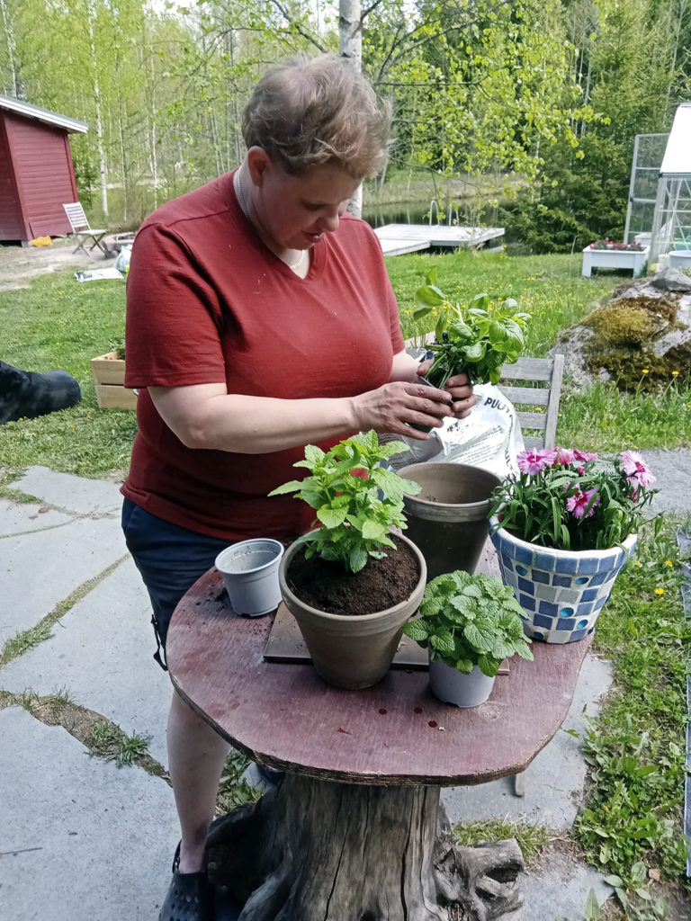 Heidi istuttaa parhaillaan basilikaa mökin pihalla. Valmiina omissa ruukuissaan ovat jo mittu sekä neilikka. Taustalla viheriöivä piha ja kaunis lampi. 